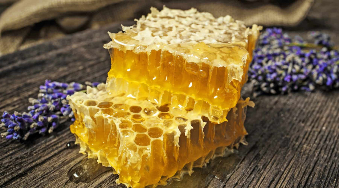 raw honey comb