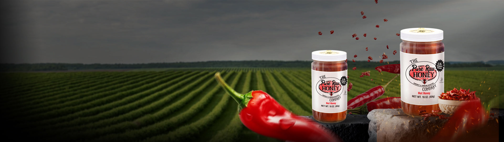 Hot Honey Banner