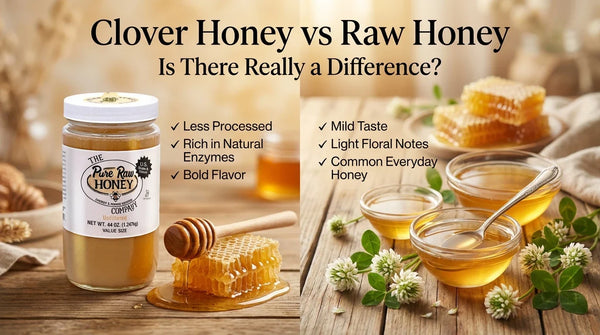 Clover Honey vs Raw Honey: Is There Really a Difference?