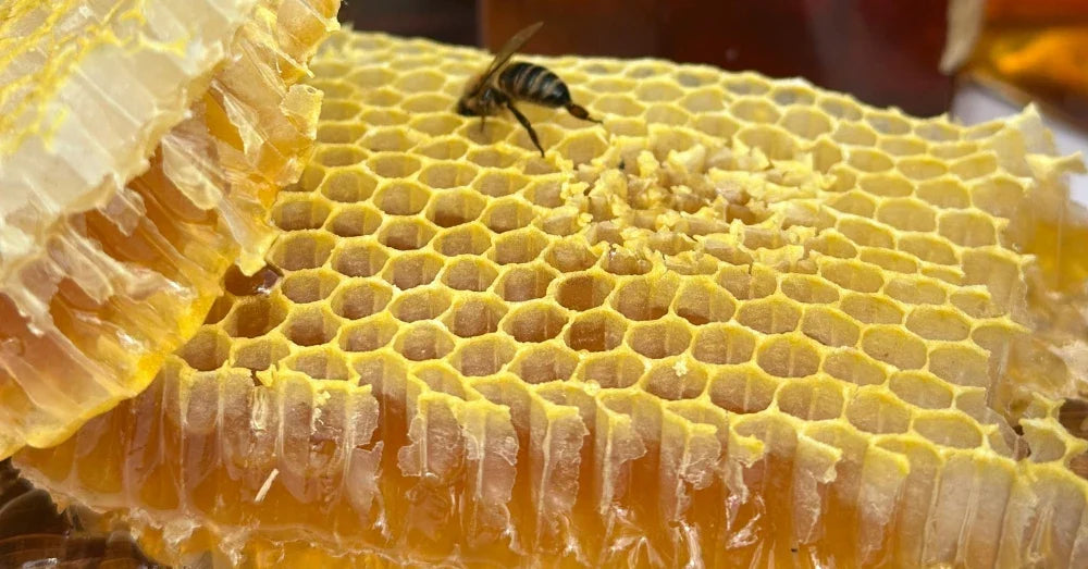 How Bee Pollen & Raw Honey Support Immune Health Naturally