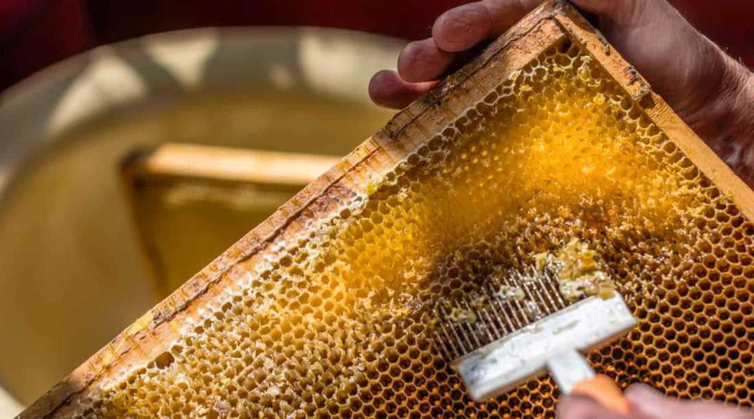 Pure Unfiltered Honey