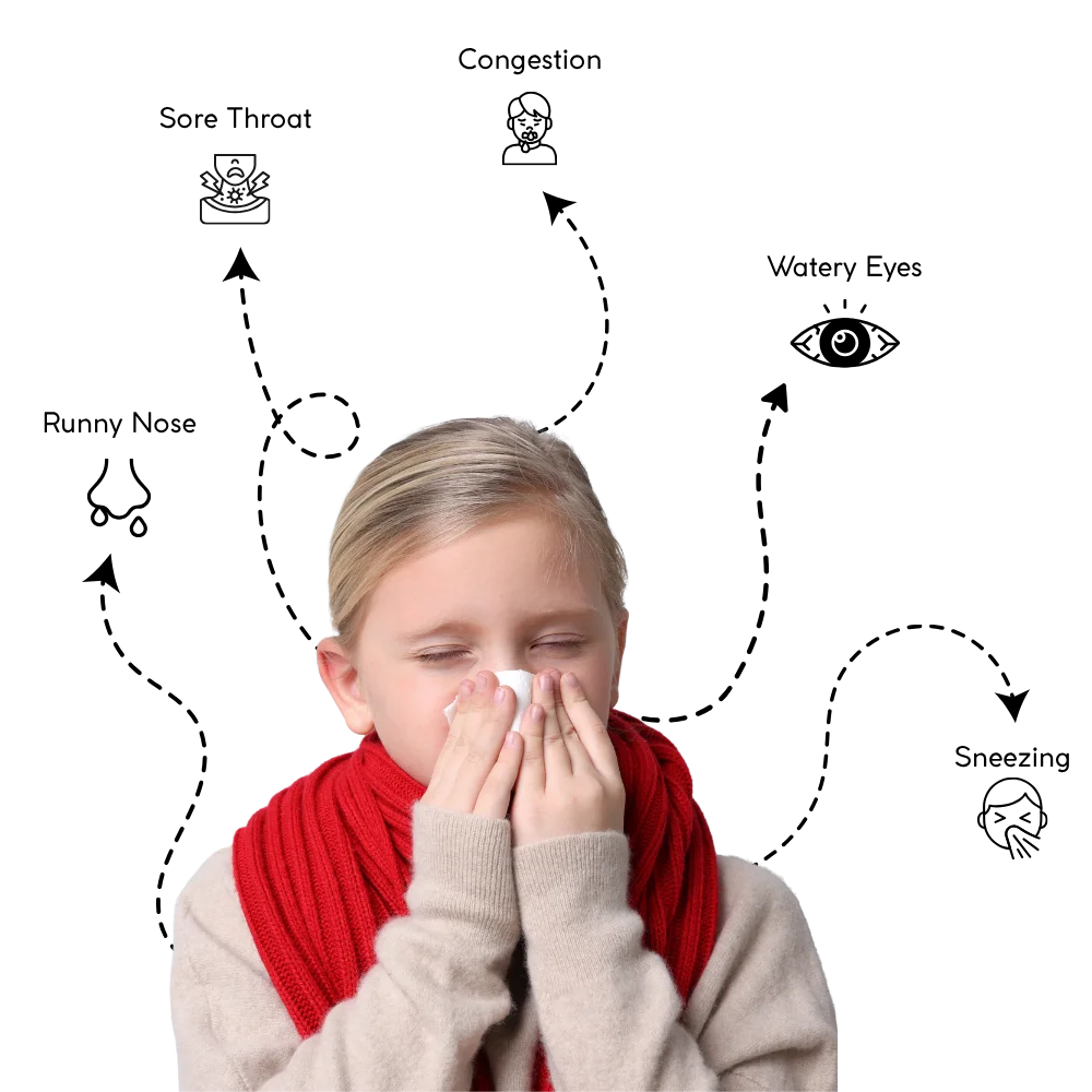 10 Allergies,1 solution!